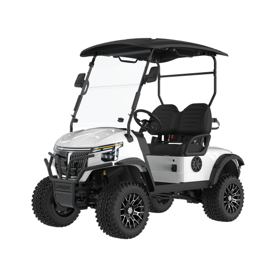 Widerway Golf Carts/Sightseeing Cars 2 Seaters-LQD023