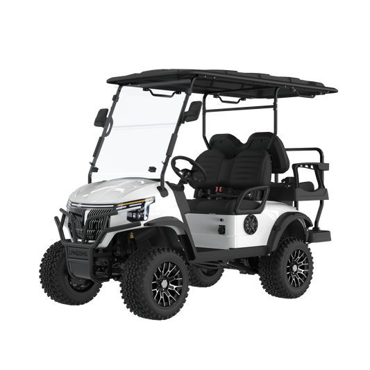 Widerway Golf Carts/Sightseeing Cars 4 Seaters-LQD023+2
