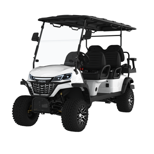 Widerway Golf Carts/Sightseeing Cars 6 Seaters-LQD041+2