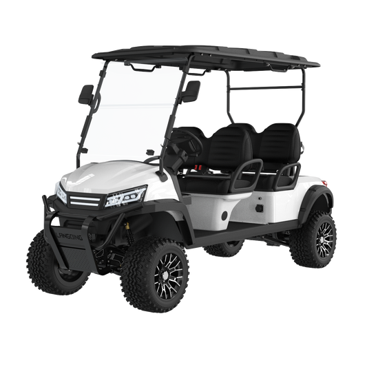 Widerway Golf Carts/Sightseeing Cars 4 Seaters-LQD042