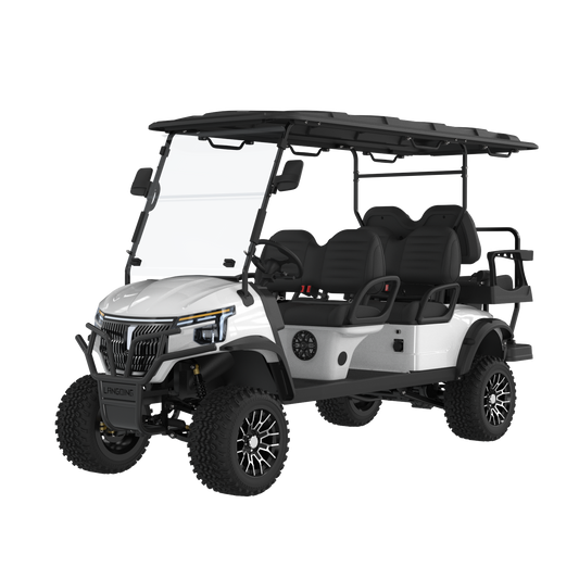 Widerway Golf Carts/Sightseeing Cars 6 Seaters-LQD043+2