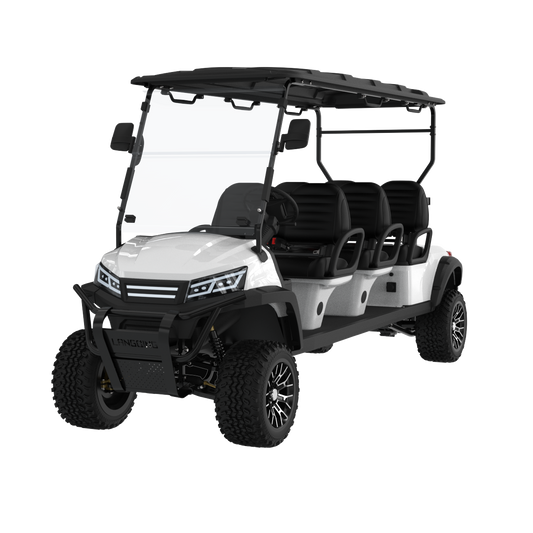 Widerway Golf Carts/Sightseeing Cars 6 Seaters-LQD062