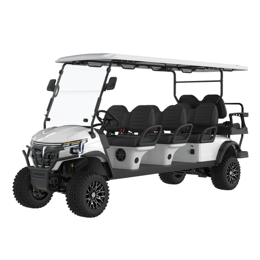 Widerway Golf Carts/Sightseeing Cars 8 Seaters-LQD063+2