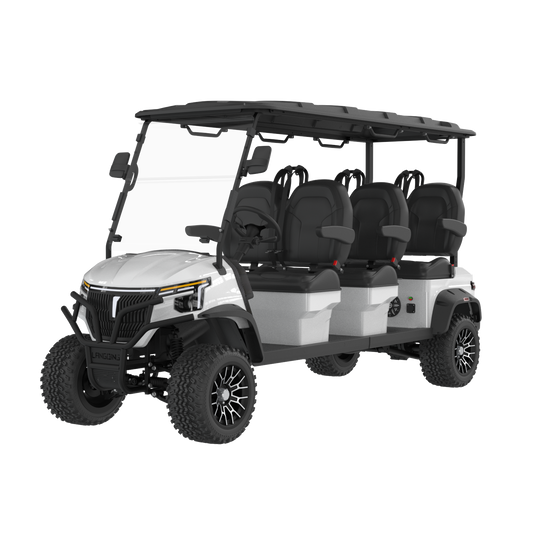 Widerway Golf Carts/Sightseeing Cars 6 Seaters-LQD065