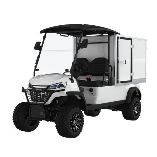 Widerway Cargo Truck 2 Seaters Customizable-LQDF021BM