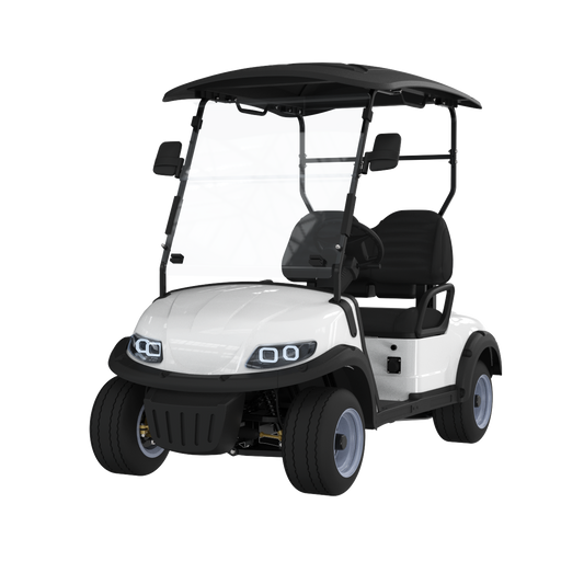 Widerway Golf Carts/Sightseeing Cars 2 Seaters-LQS020A