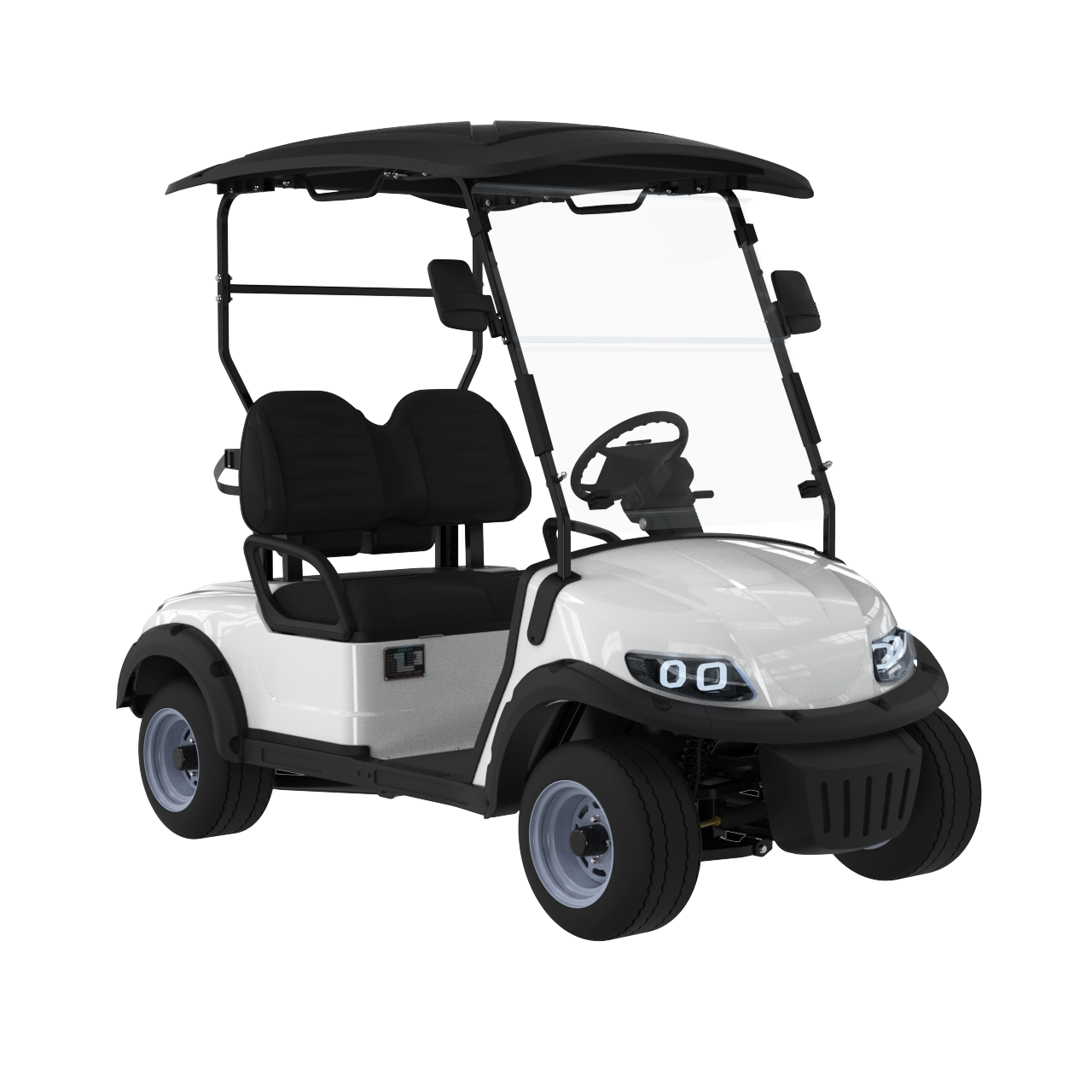 Widerway Golf Carts/Sightseeing Cars 2 Seaters-LQS020A
