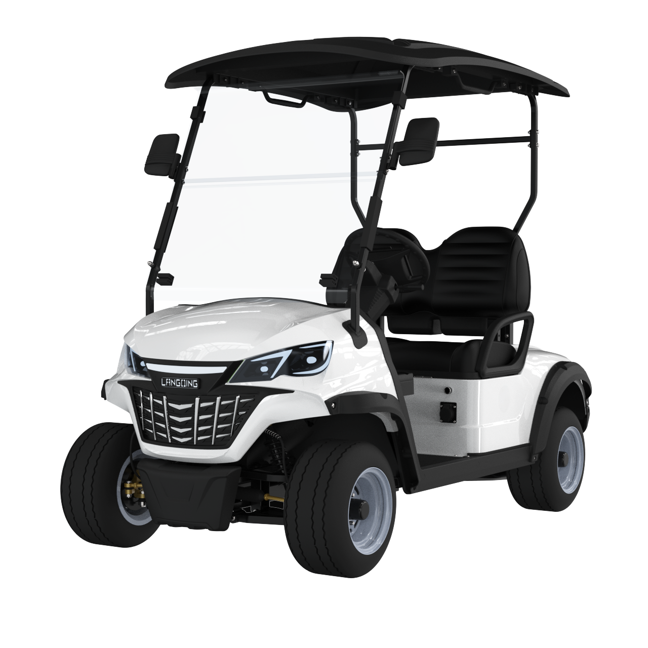 Widerway Golf Carts/Sightseeing Cars 2 Seaters-LQS021
