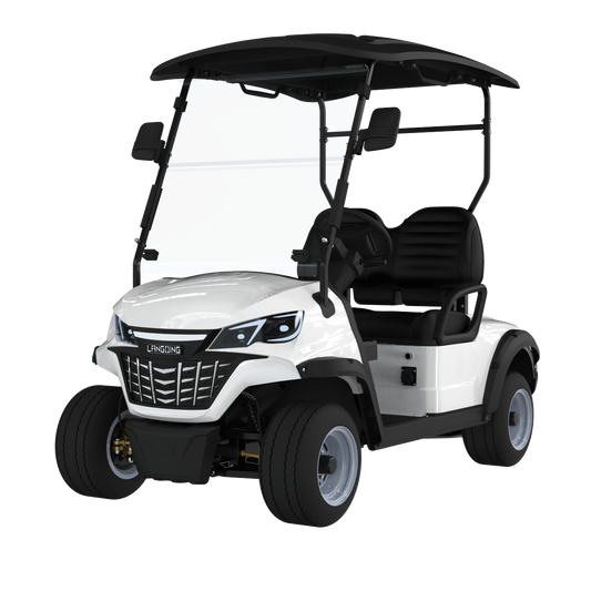 Widerway Golf Carts/Sightseeing Cars 2 Seaters-LQS021