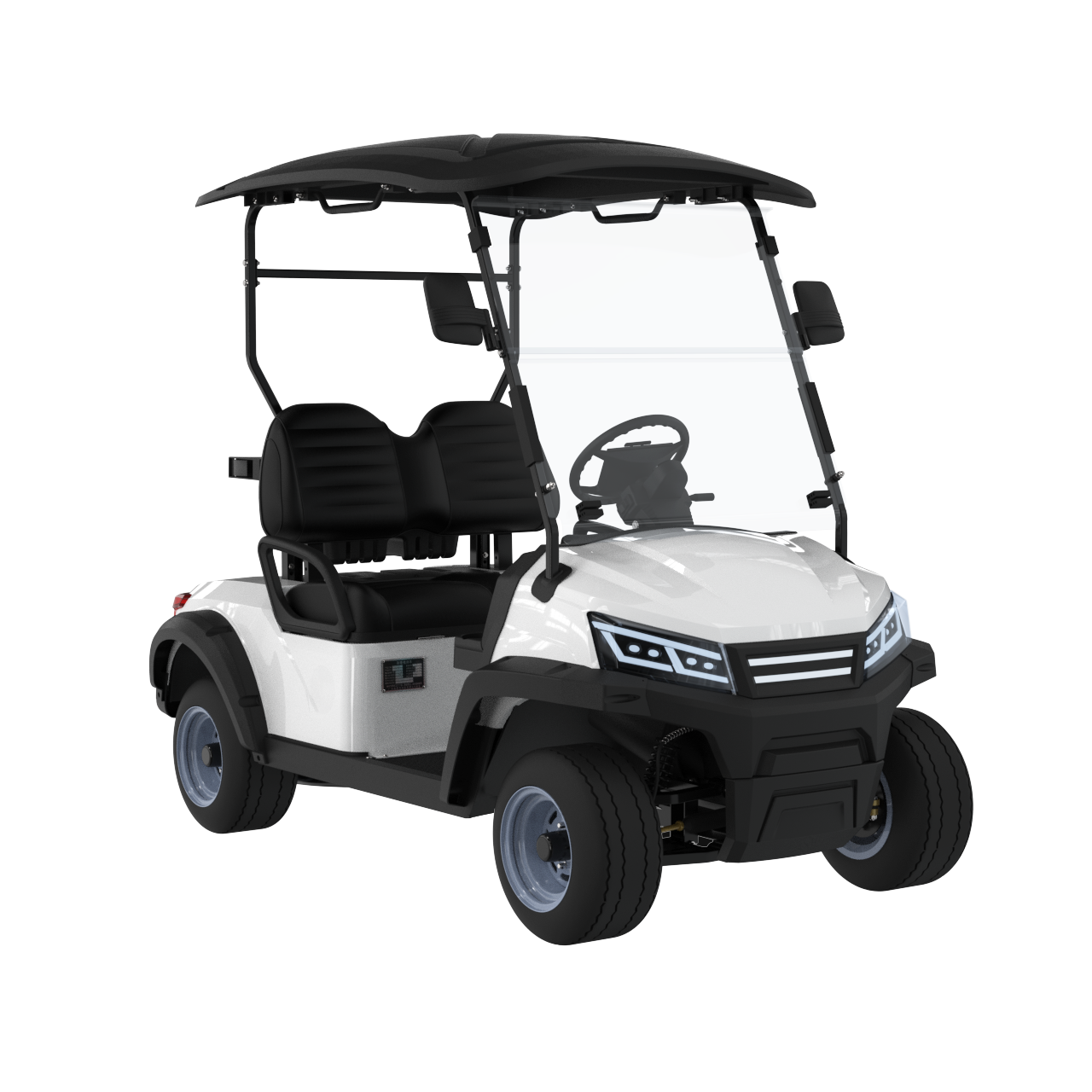 Widerway Golf Carts/Sightseeing Cars 2 Seaters-LQS022