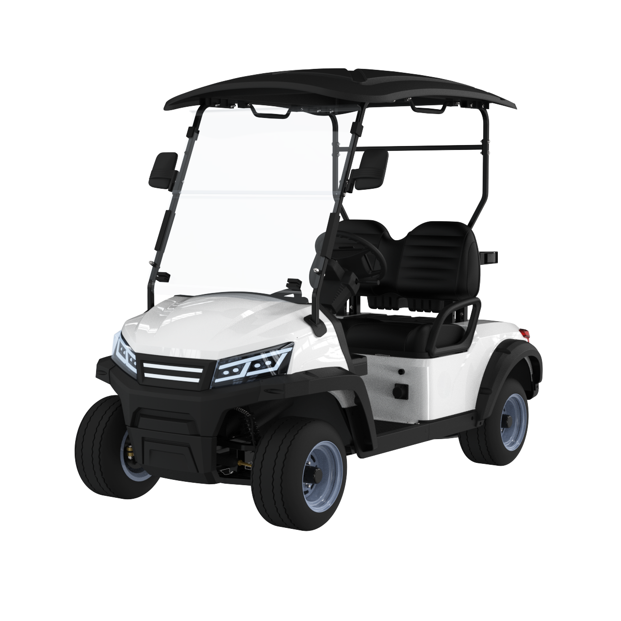 Widerway Golf Carts/Sightseeing Cars 2 Seaters-LQS022