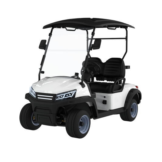 Widerway Golf Carts/Sightseeing Cars 2 Seaters-LQS022