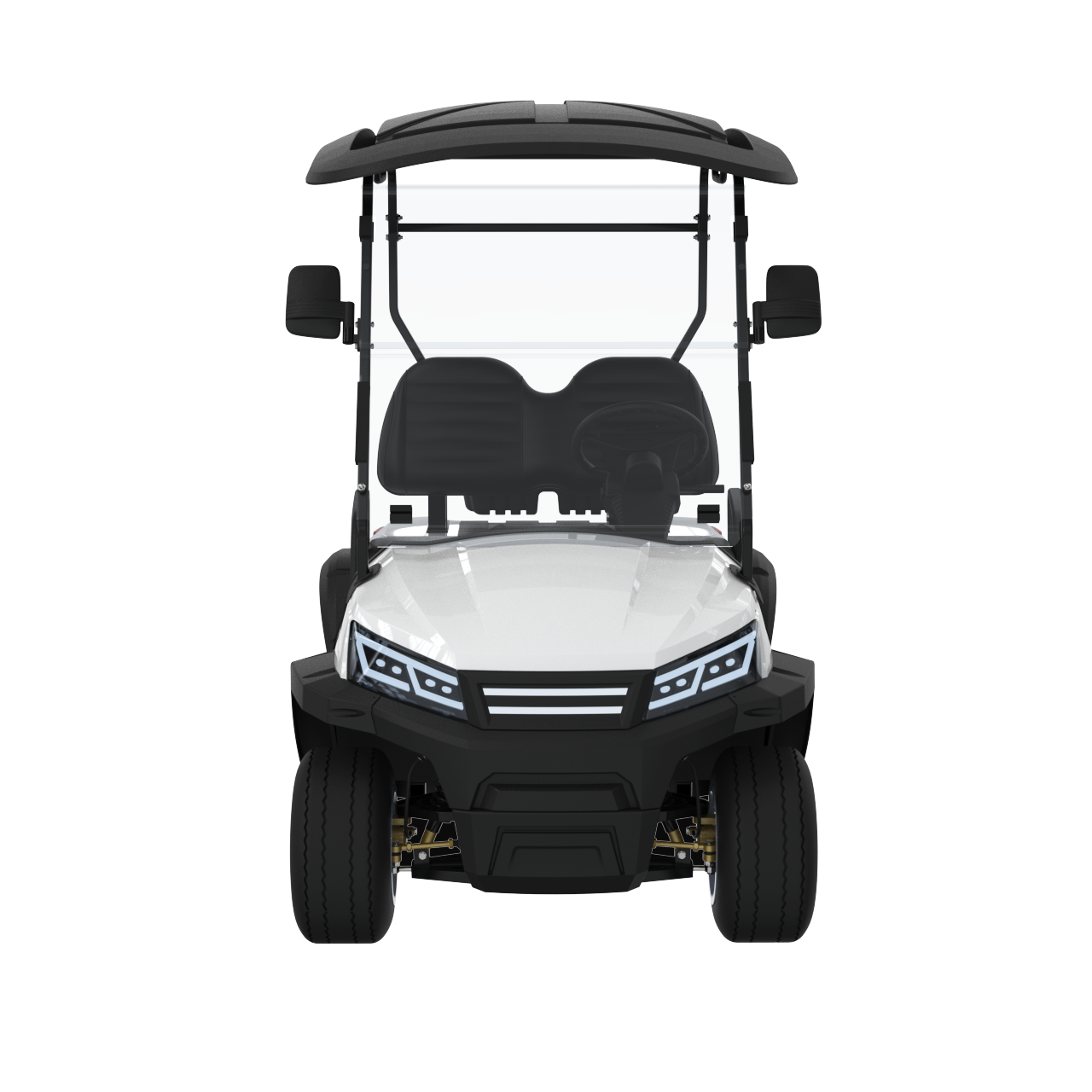 Widerway Golf Carts/Sightseeing Cars 2 Seaters-LQS022