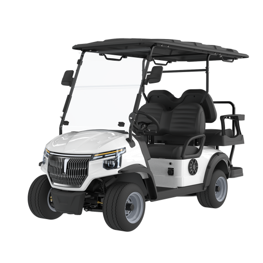 Widerway Golf Carts/Sightseeing Cars 2 Seaters-LQS023