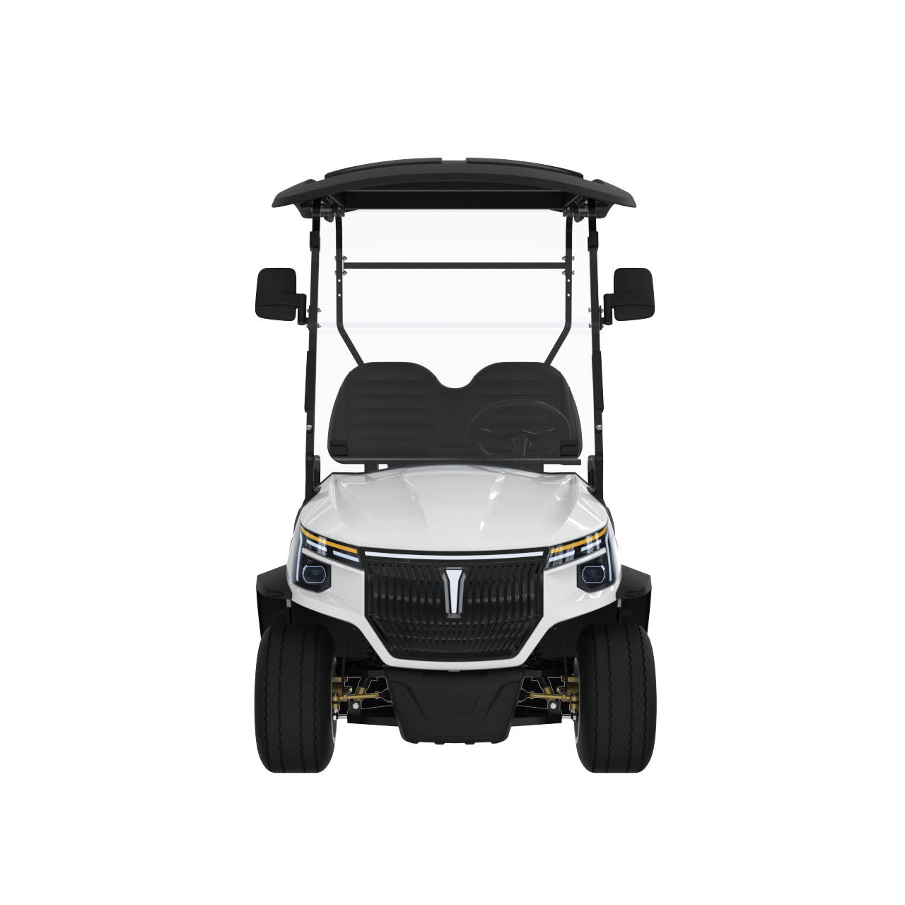 Widerway Golf Carts/Sightseeing Cars 2 Seaters-LQS023