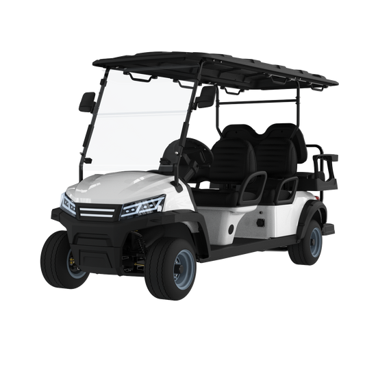 Widerway Golf Carts/Sightseeing Cars 6 Seaters-LQS042+2