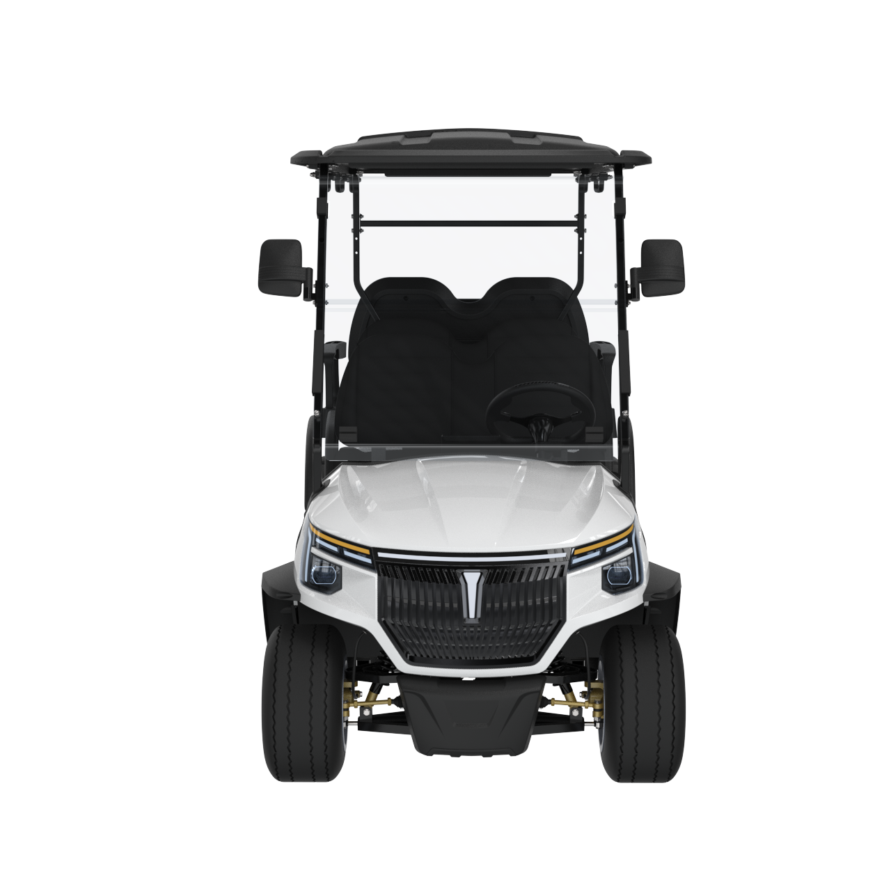 Widerway Golf Carts/Sightseeing Cars 6 Seaters-LQS043+2