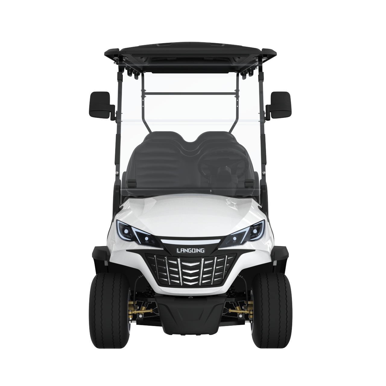 Widerway Golf Carts/Sightseeing Cars 6 Seaters-LQS061