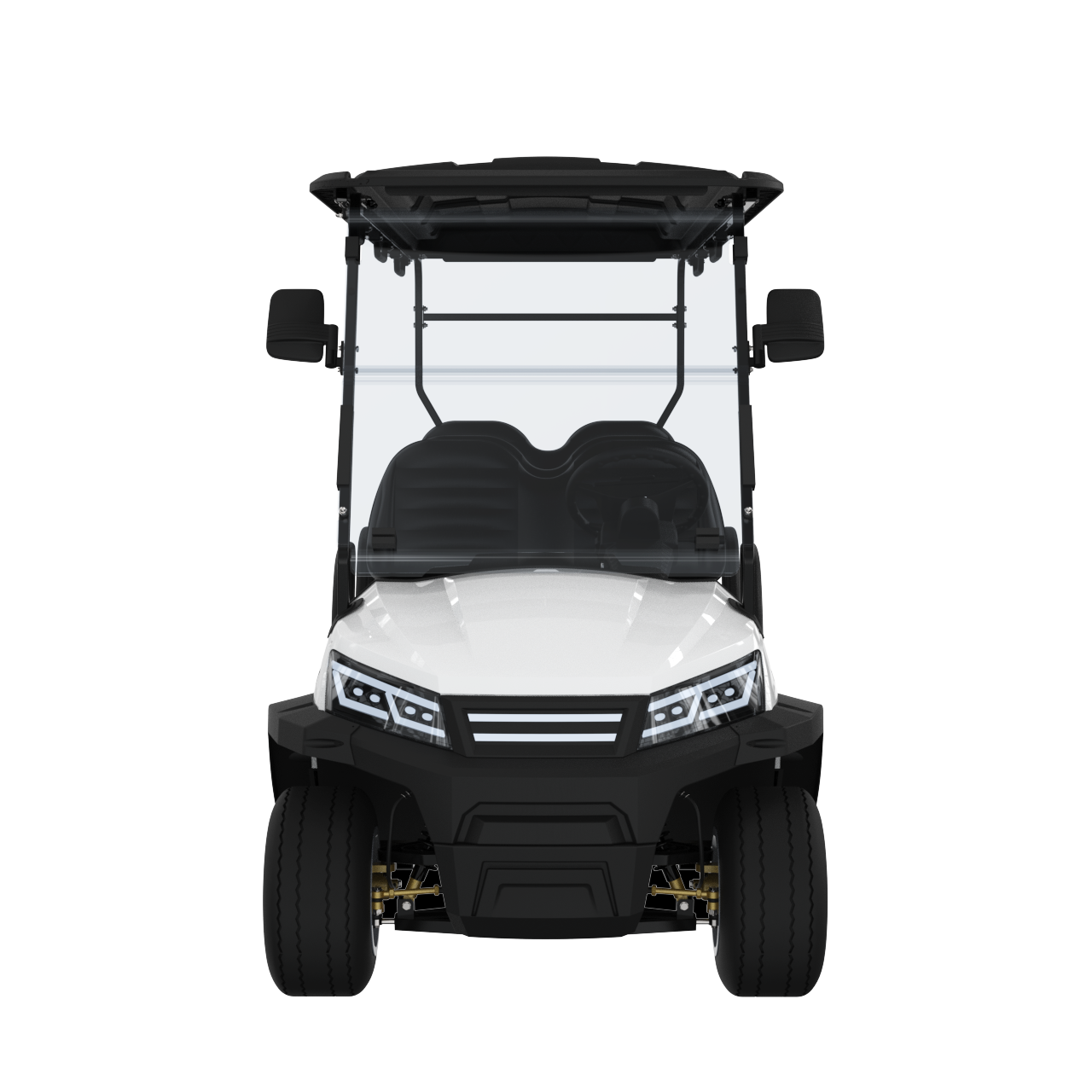 Widerway Golf Carts/Sightseeing Cars 6 Seaters-LQS062