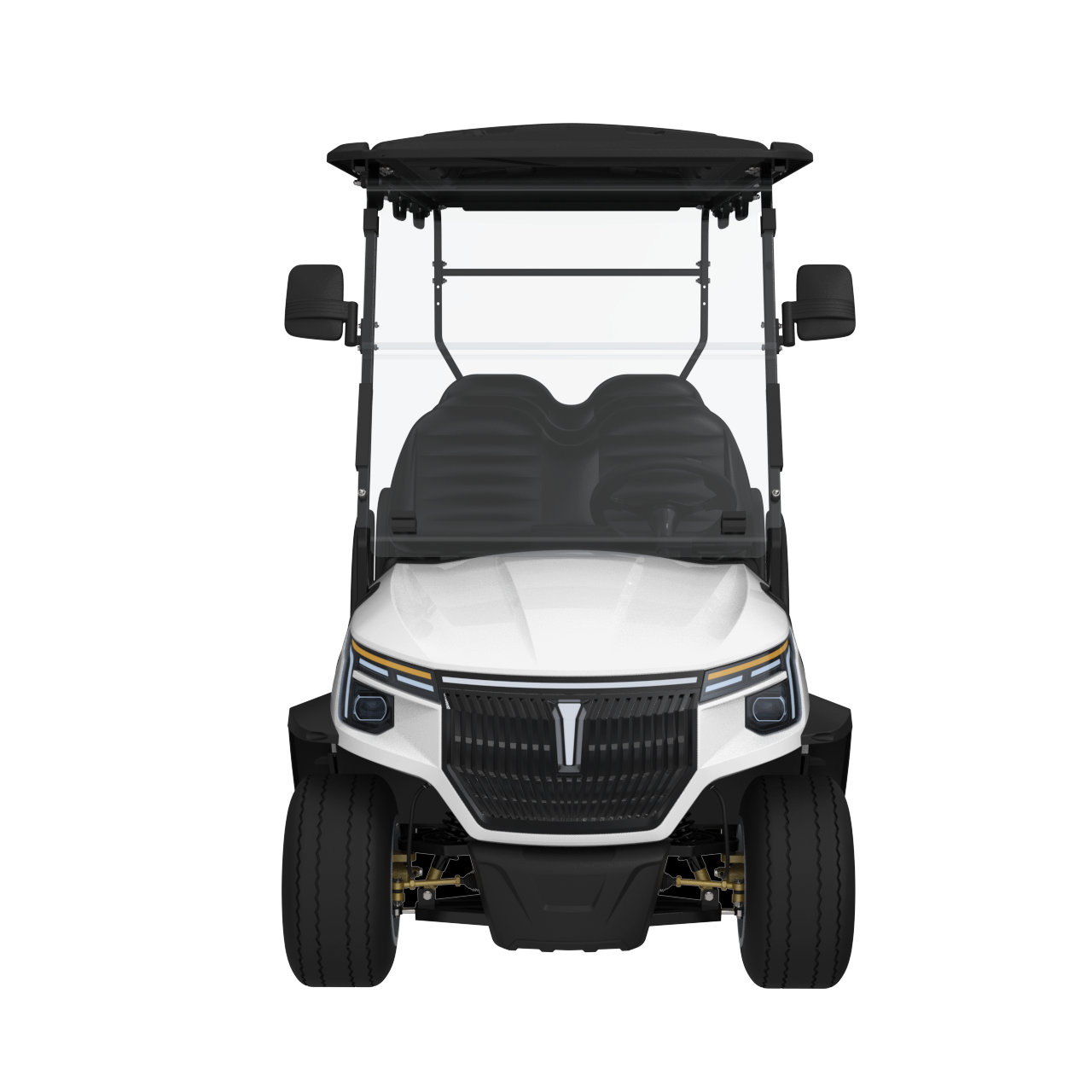 Widerway Golf Carts/Sightseeing Cars 6 Seaters-LQS063