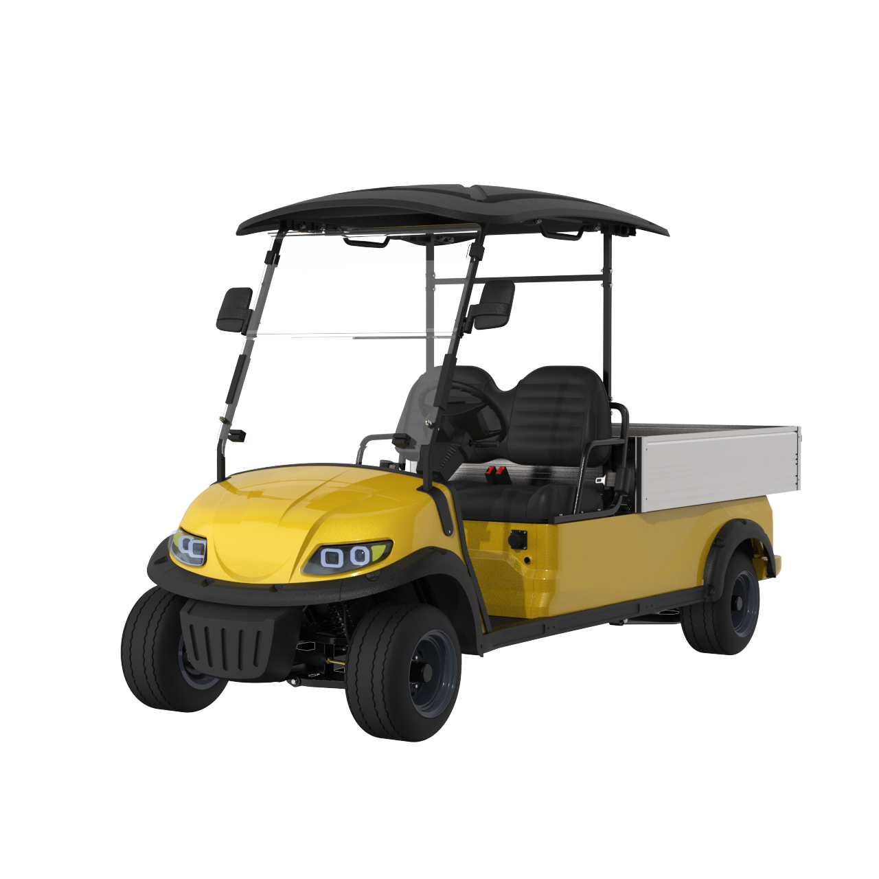 Widerway Cargo Truck 2 Seaters Customizable-LQSF020B