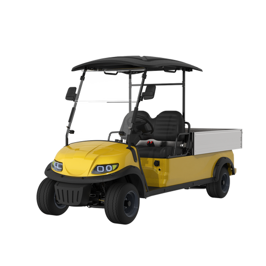 Widerway Cargo Truck 2 Seaters Customizable-LQSF020B