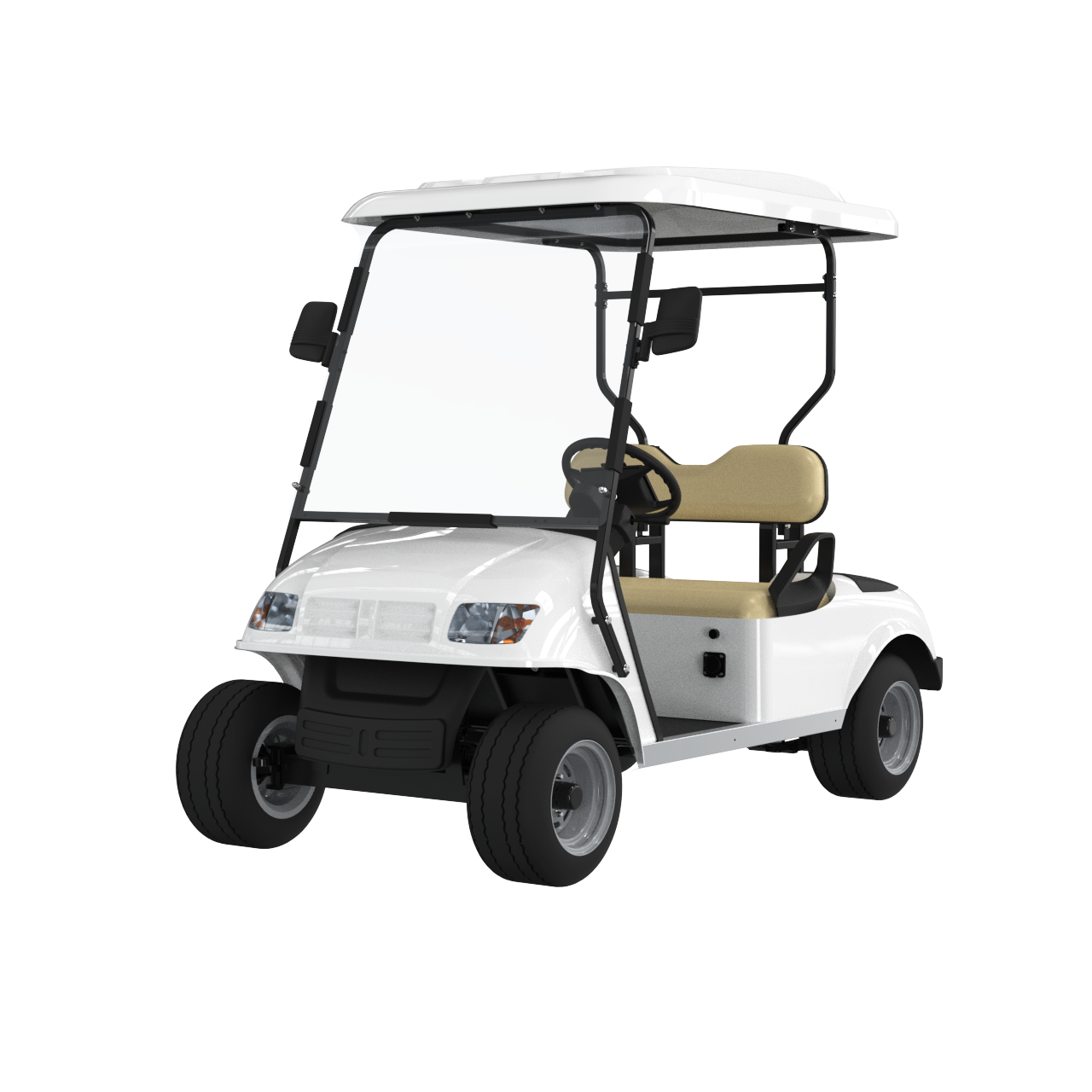 Find electric 2 seater golf carts for sale in our collection. Features street legal models with compact designs.