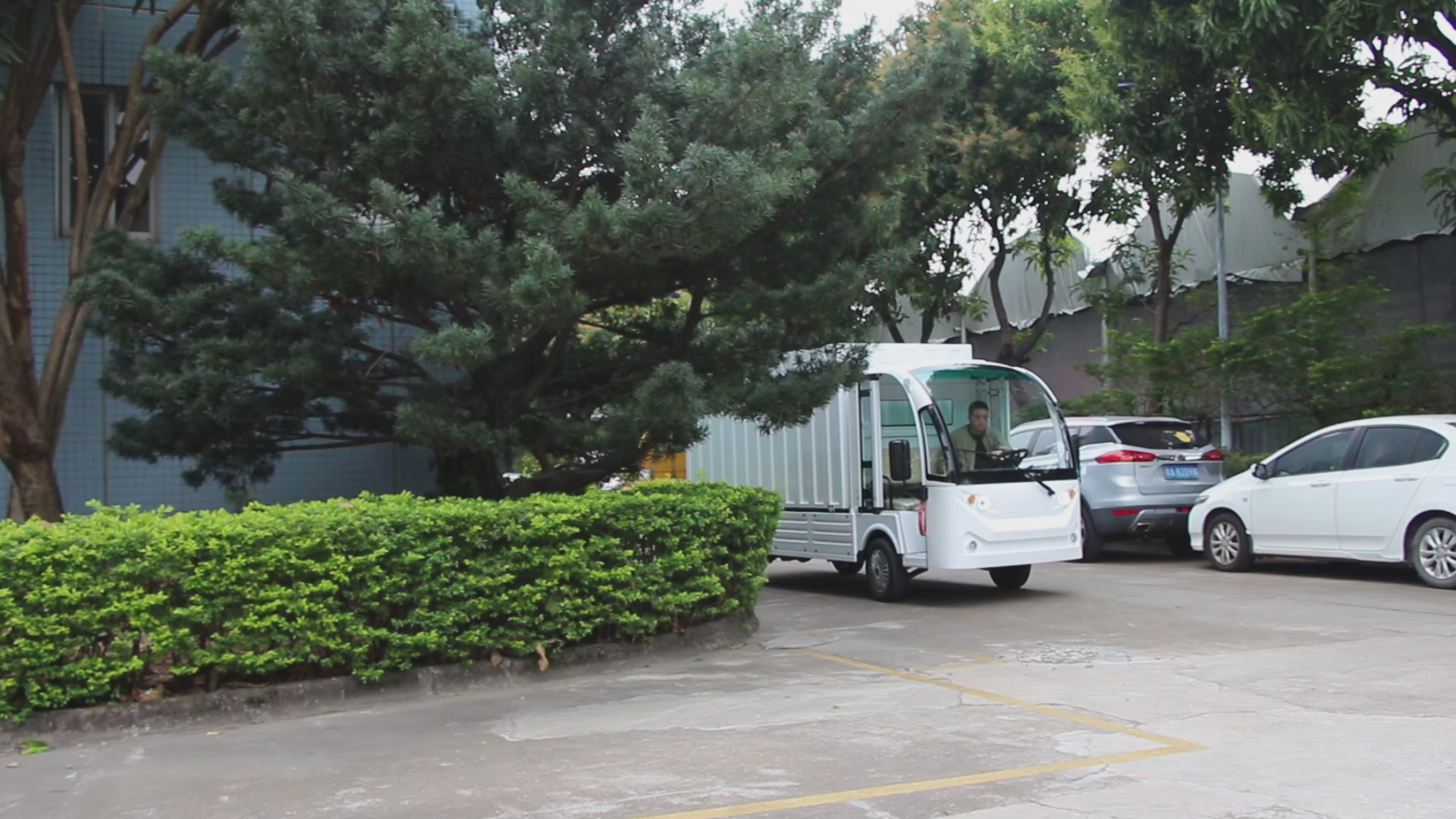 Widerway Cargo Truck 2 Seaters Customizable-LQF1032M